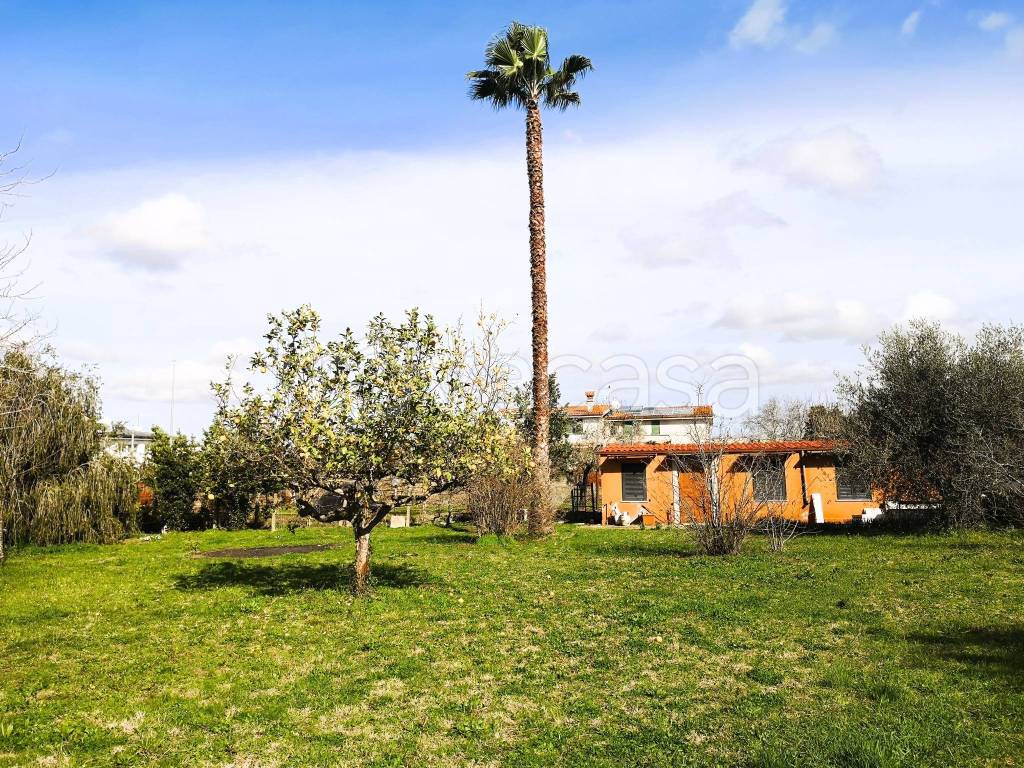 immagine annuncio 2 di 14