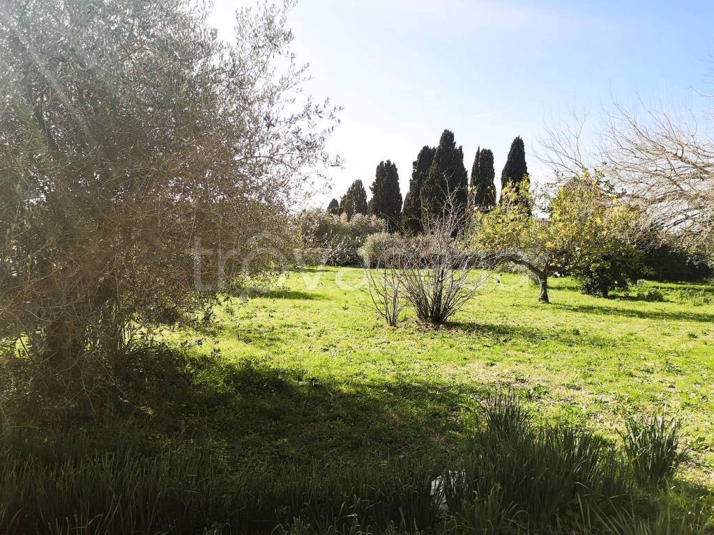 immagine annuncio 3 di 14