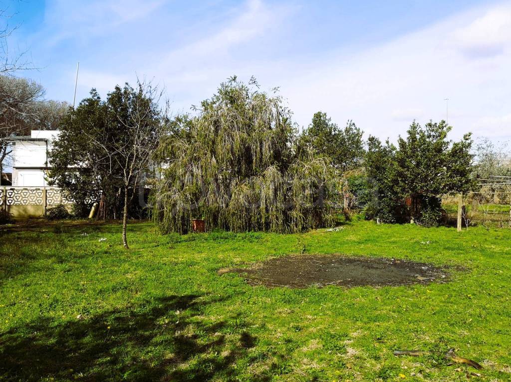 immagine annuncio 4 di 14