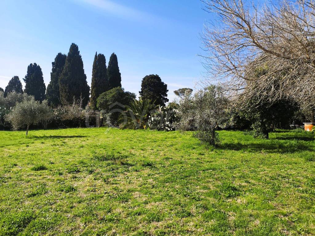 immagine annuncio 10 di 14