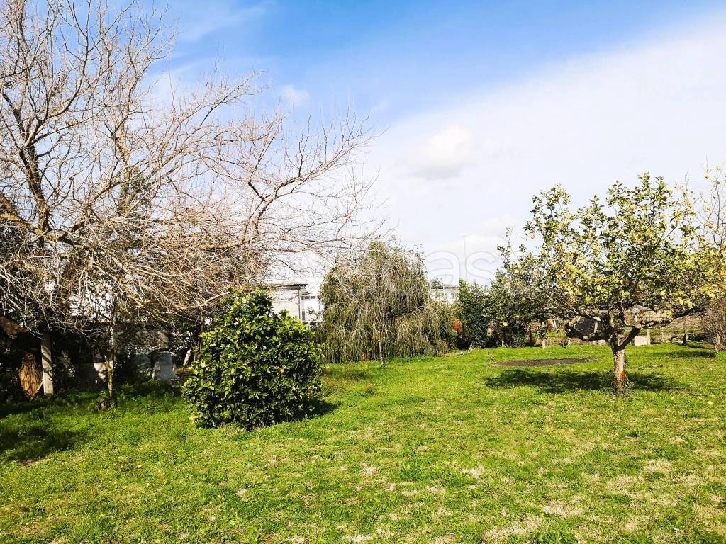 immagine annuncio 11 di 14