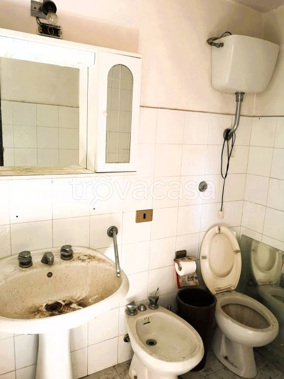 immagine annuncio 9 di 14