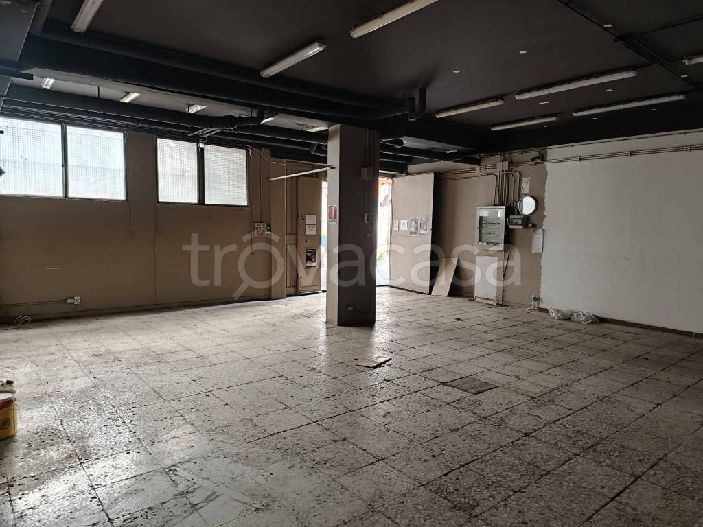 immagine annuncio 5 di 14