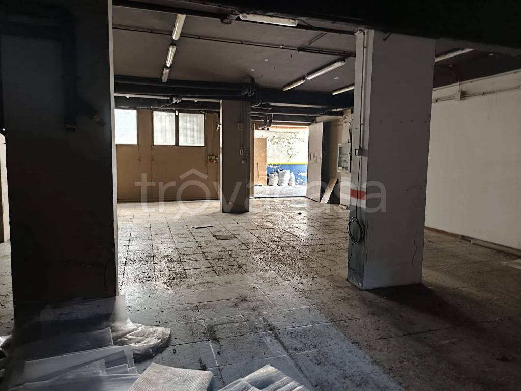 immagine annuncio 6 di 14