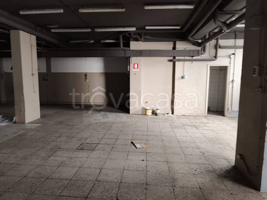 immagine annuncio 9 di 14