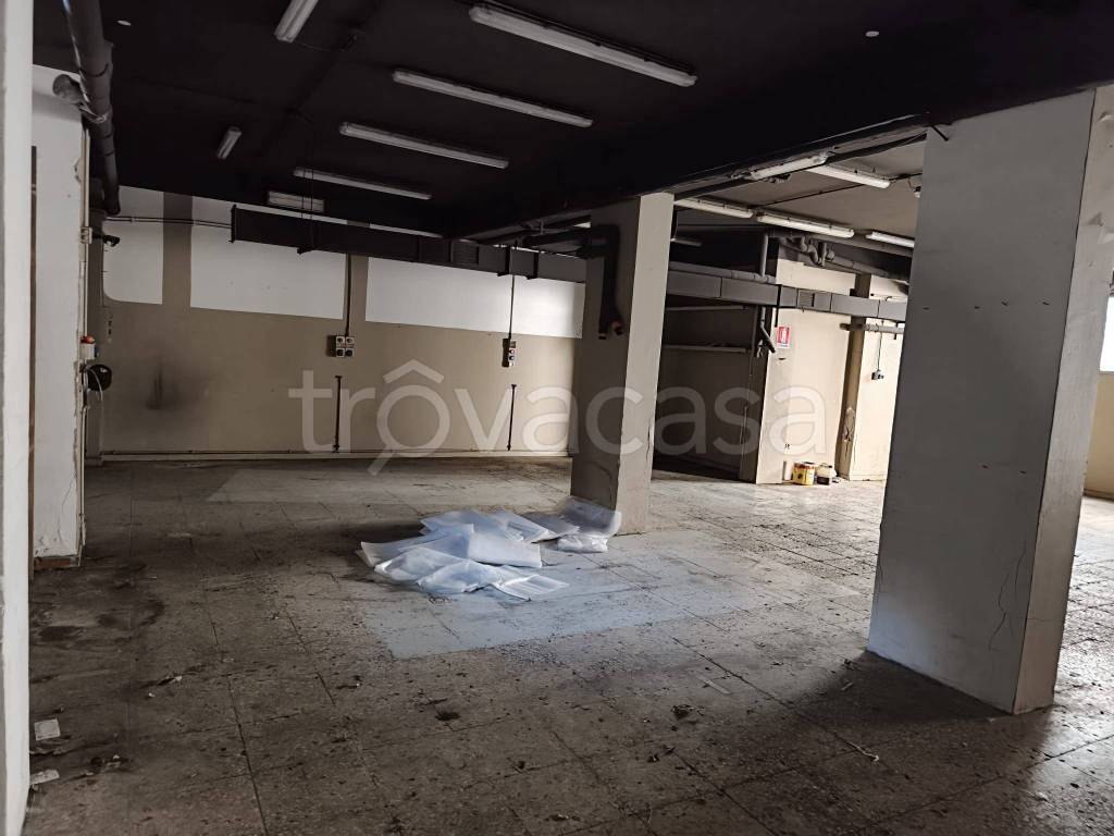 immagine annuncio 10 di 14