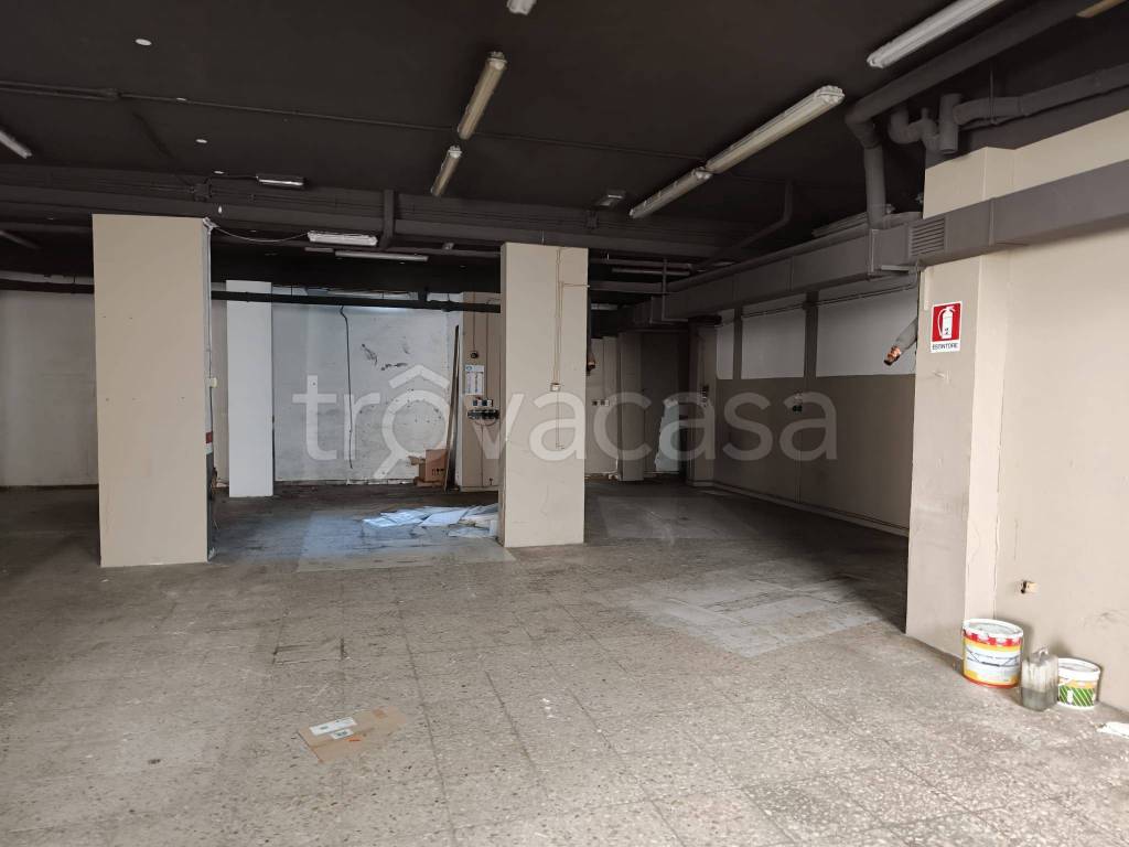 immagine annuncio 11 di 14