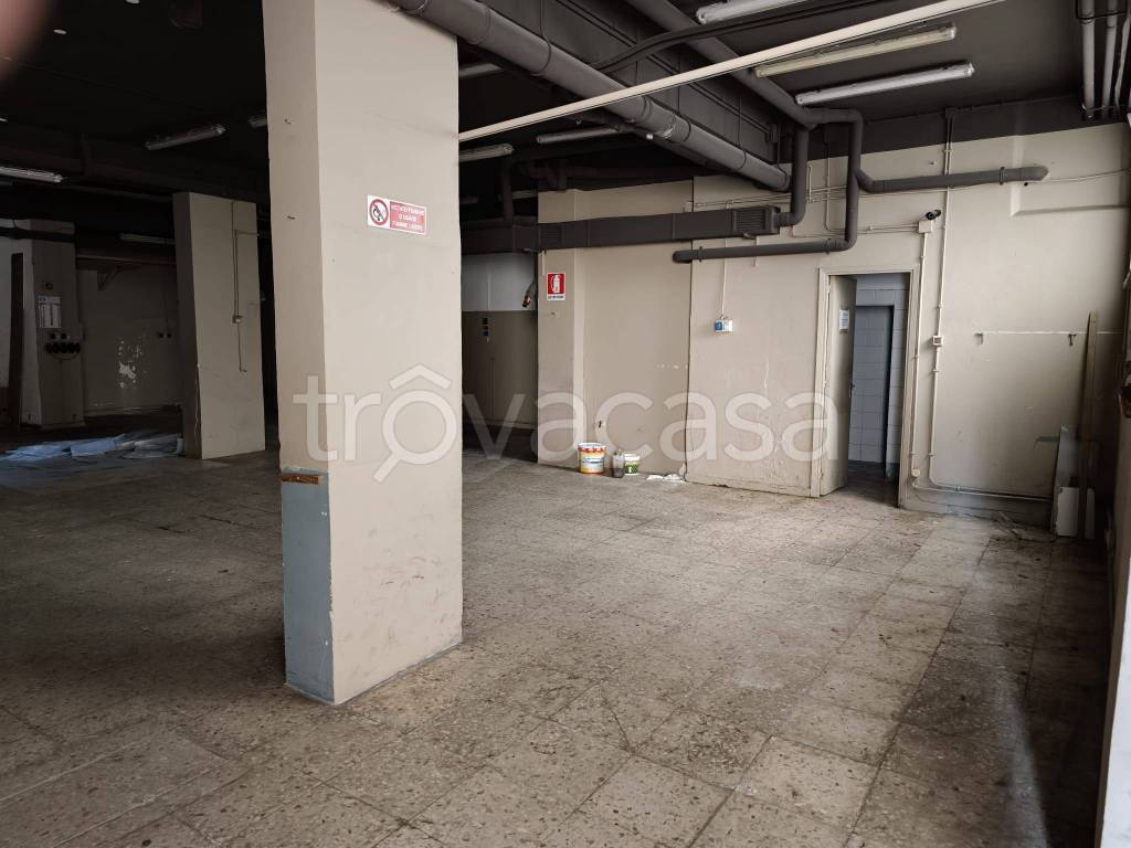 immagine annuncio 12 di 14