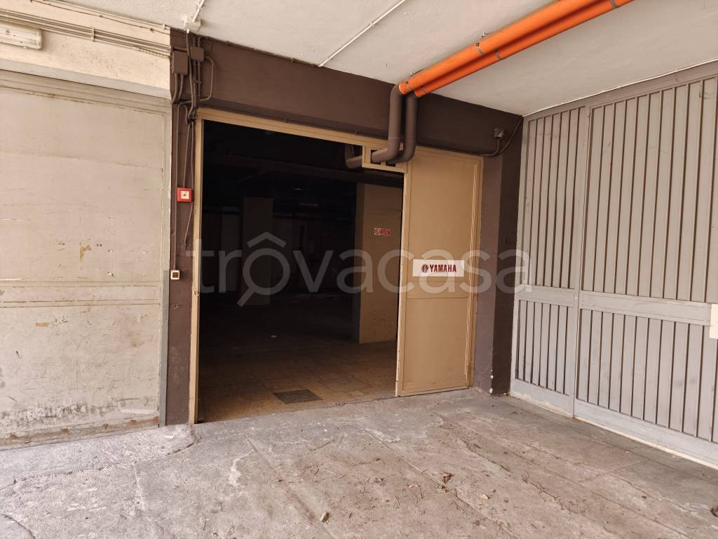 immagine annuncio 3 di 14