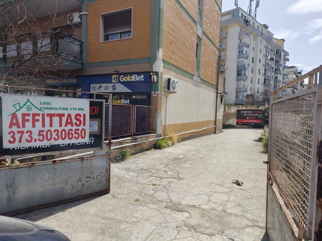 immagine annuncio 1 di 14