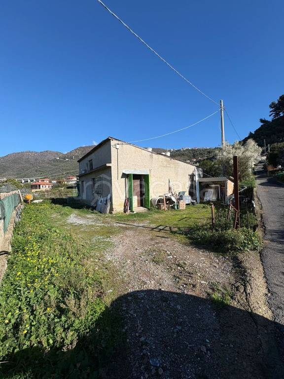 immagine annuncio 2 di 8