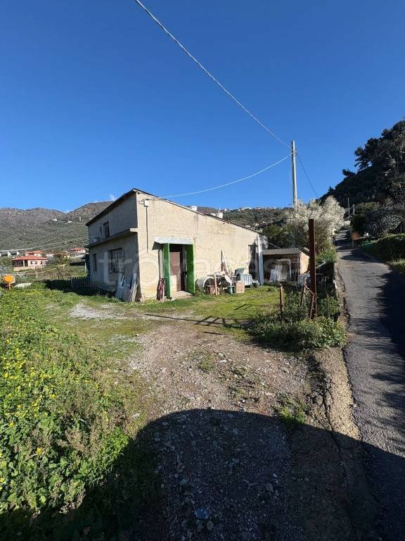 immagine annuncio 3 di 8