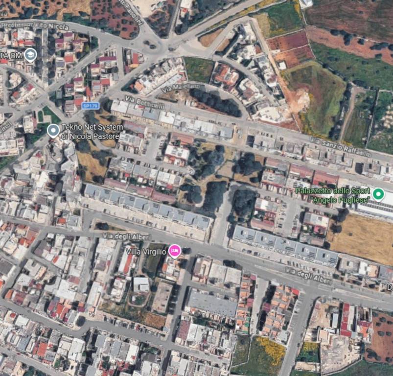 immagine annuncio 2 di 11