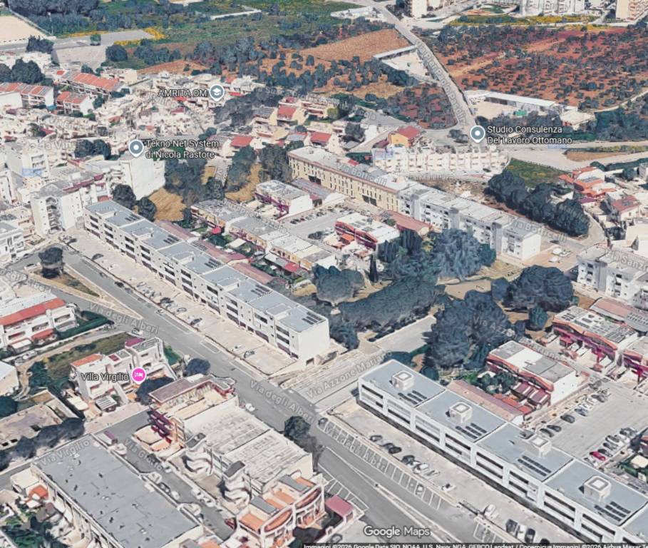 immagine annuncio 4 di 11