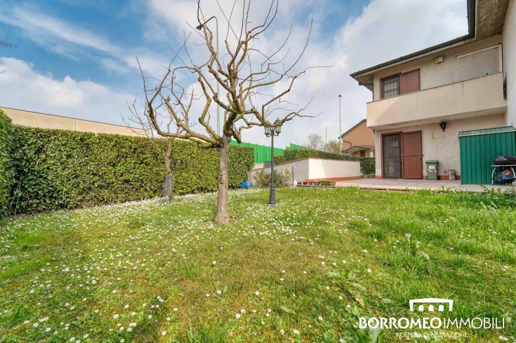 immagine annuncio 1 di 15