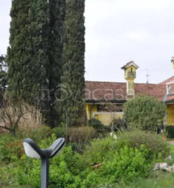 immagine annuncio 2 di 12