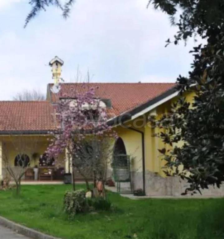 immagine annuncio 5 di 12