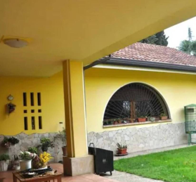 immagine annuncio 6 di 12