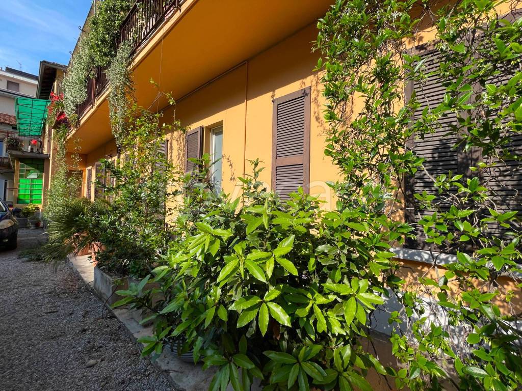 immagine annuncio 5 di 6