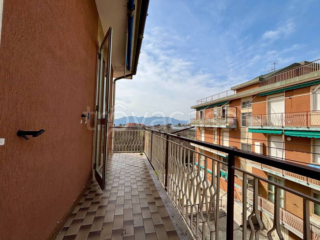 immagine annuncio 12 di 14