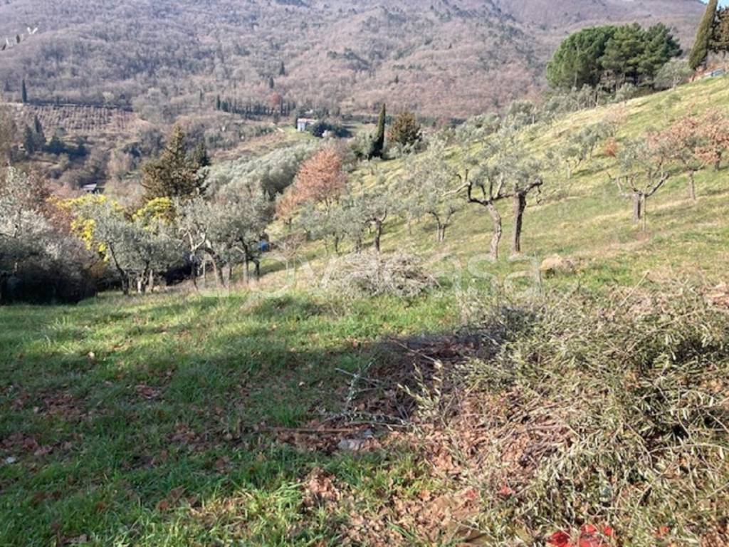 immagine annuncio 1 di 8