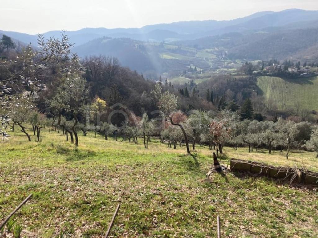 immagine annuncio 3 di 8