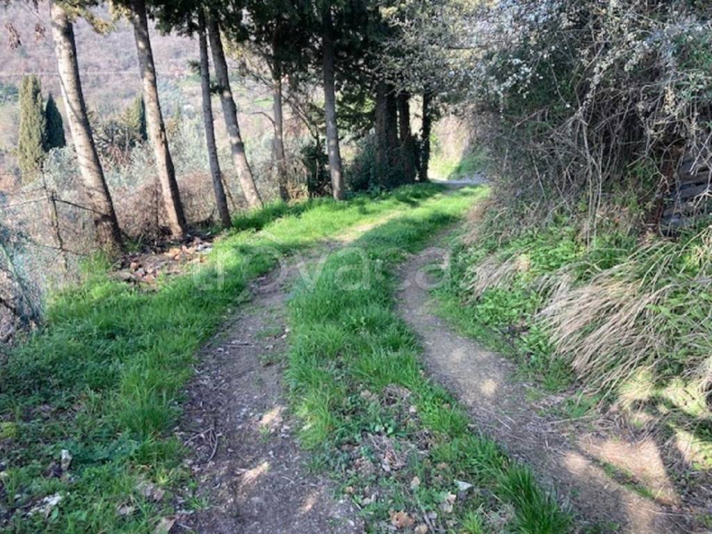 immagine annuncio 4 di 8