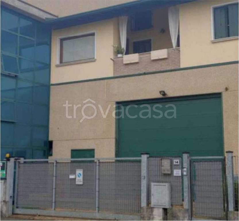 immagine annuncio 11 di 15