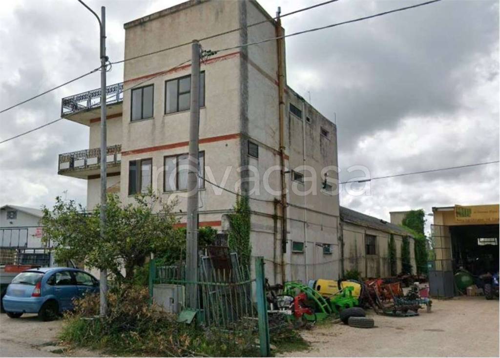 immagine annuncio 5 di 11