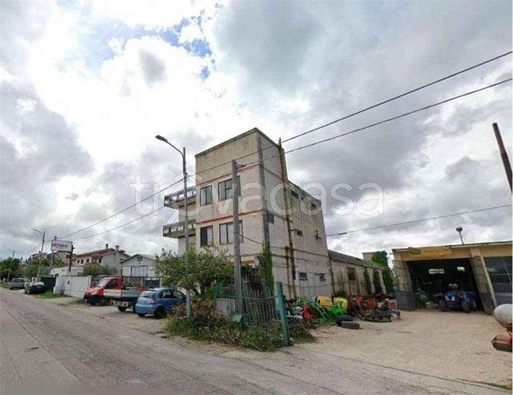 immagine annuncio 6 di 11