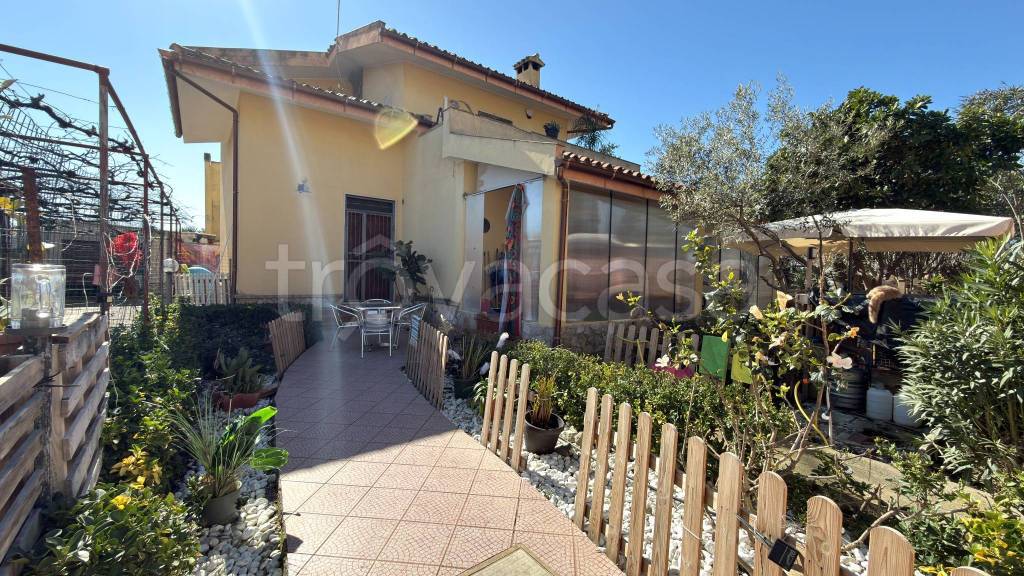 immagine annuncio 2 di 14