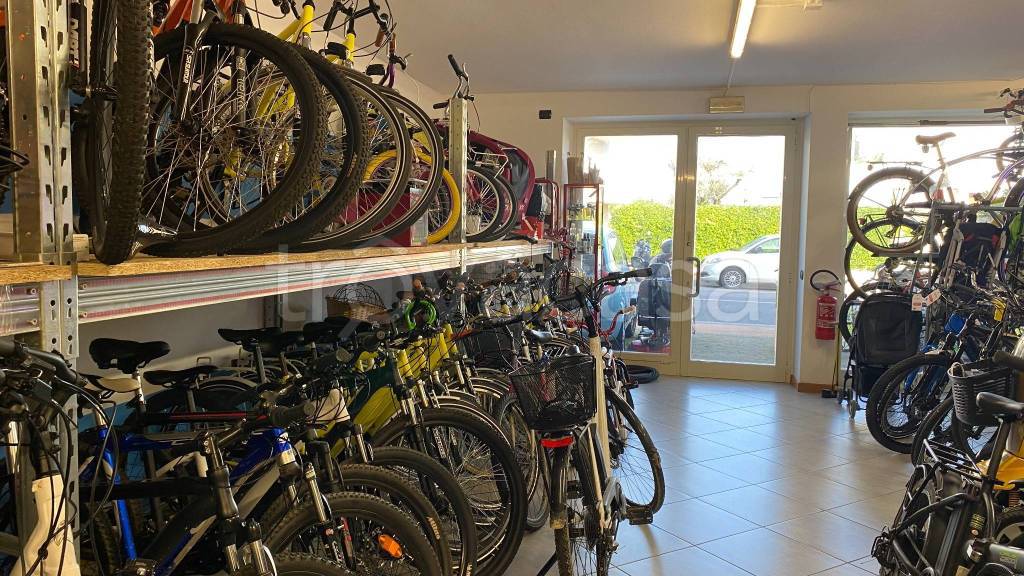 immagine annuncio 2 di 11