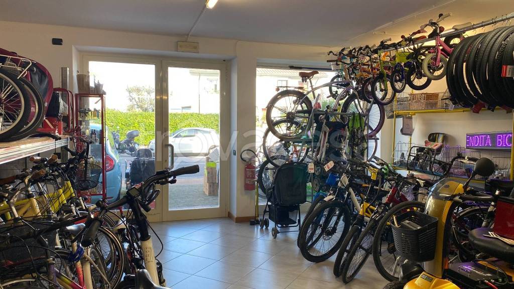 immagine annuncio 4 di 11