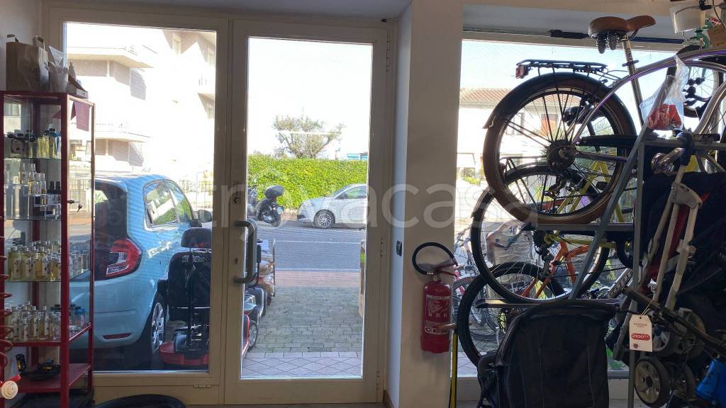 immagine annuncio 6 di 11