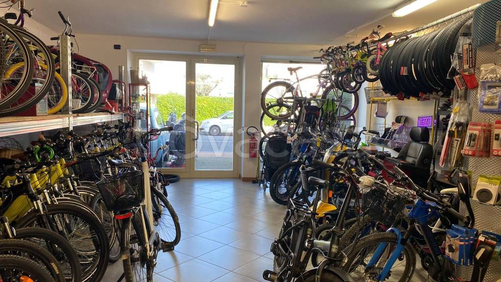 immagine annuncio 7 di 11