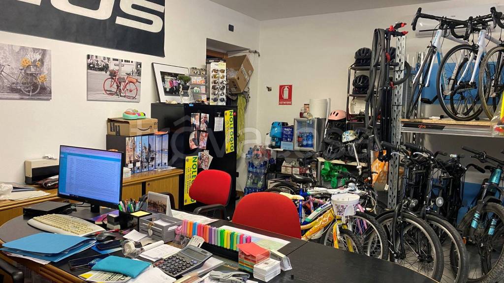 immagine annuncio 8 di 11