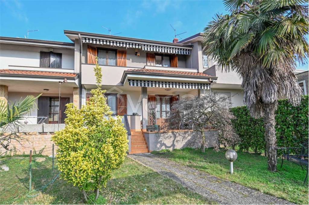 immagine annuncio 4 di 15