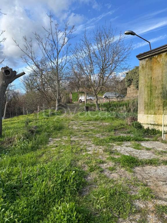 immagine annuncio 2 di 8