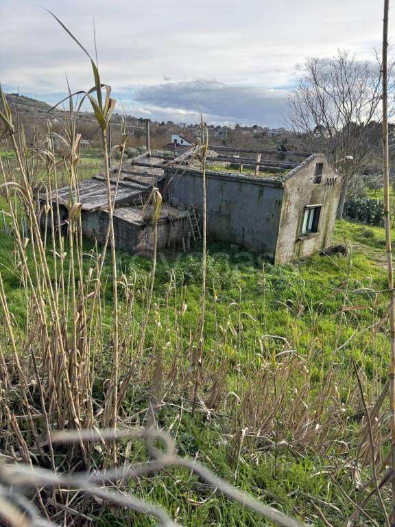 immagine annuncio 4 di 8