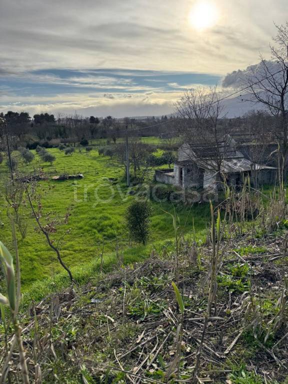 immagine annuncio 5 di 8