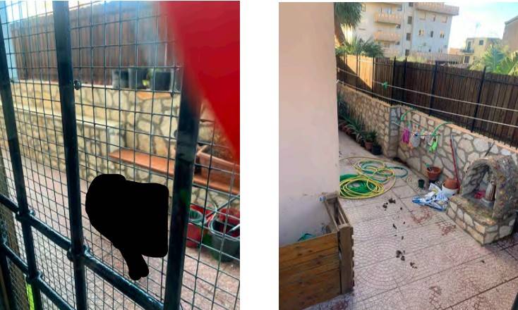 immagine annuncio 7 di 15