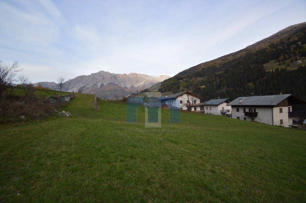 immagine annuncio 9 di 13