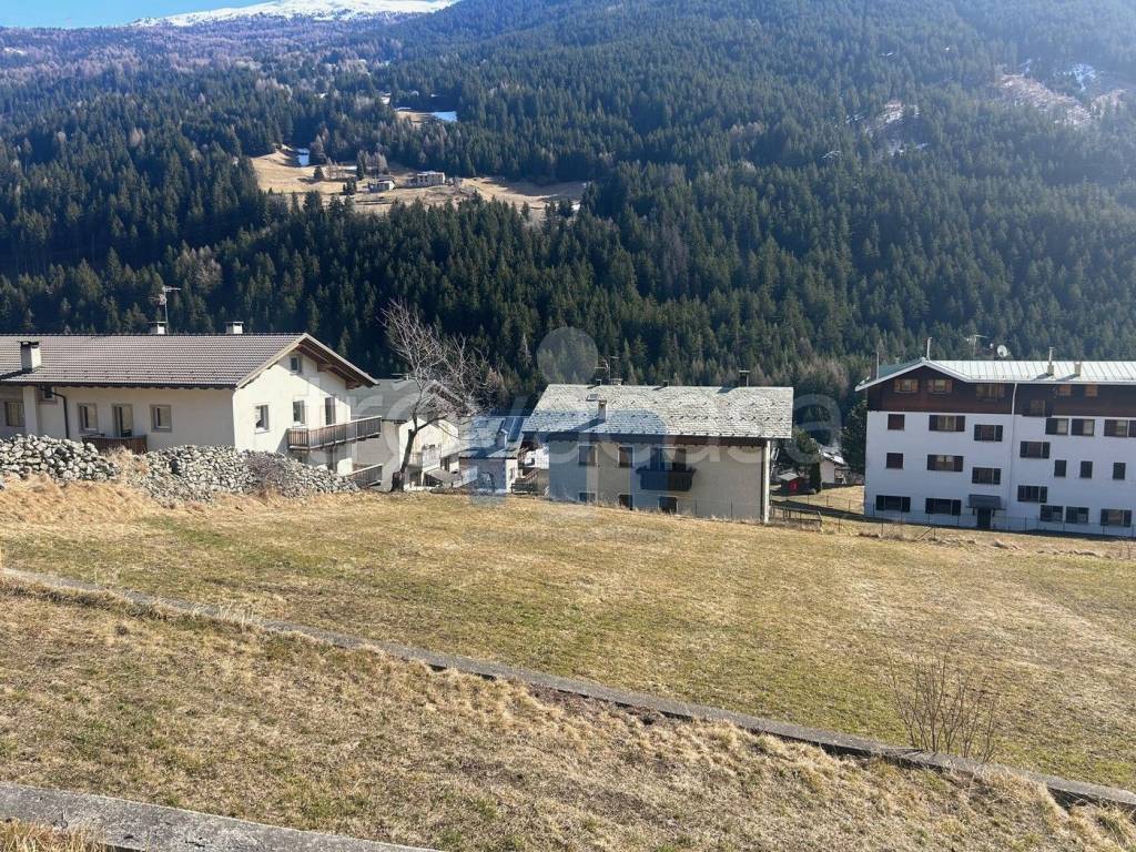 immagine annuncio 6 di 13