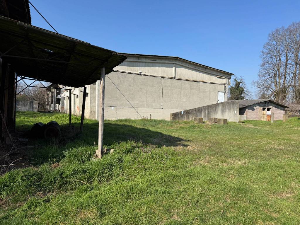 immagine annuncio 7 di 15