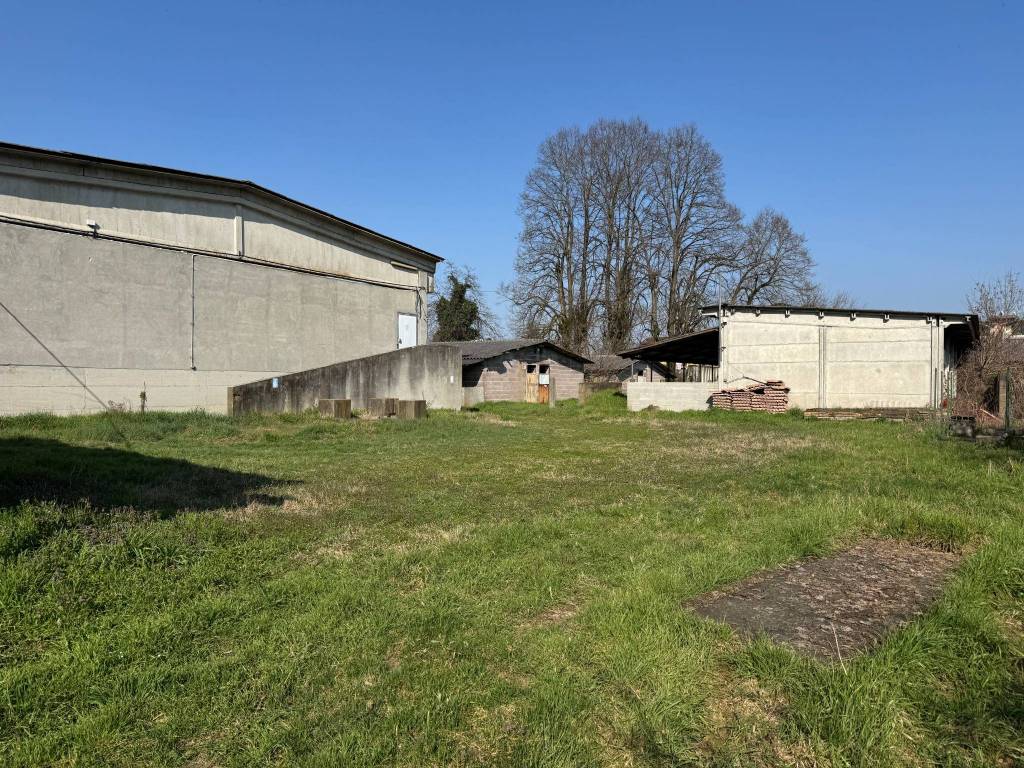 immagine annuncio 8 di 15