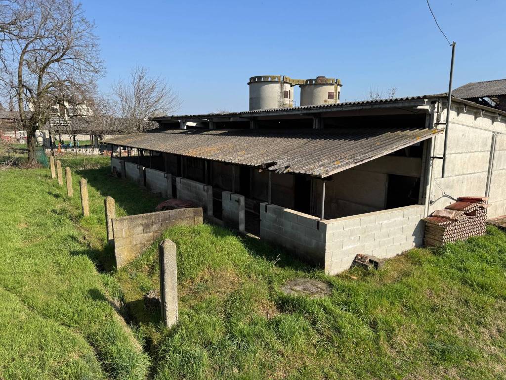 immagine annuncio 12 di 15