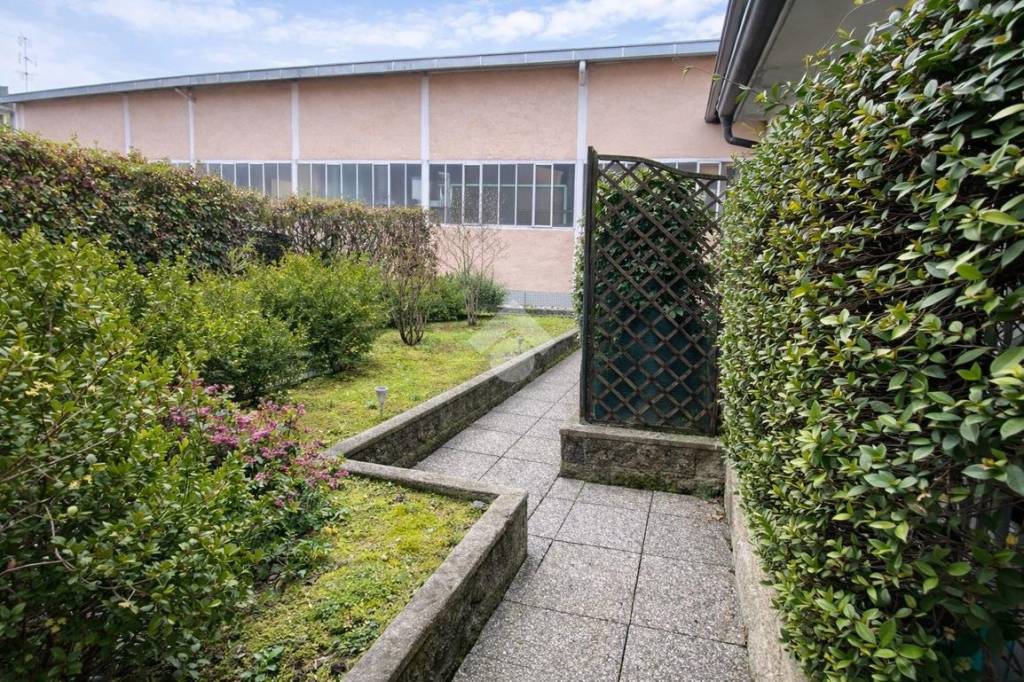 immagine annuncio 2 di 15