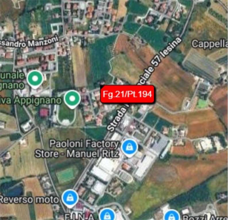 immagine annuncio 8 di 11