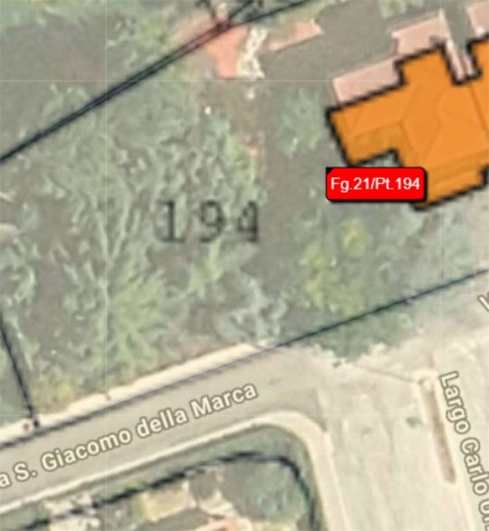 immagine annuncio 10 di 11