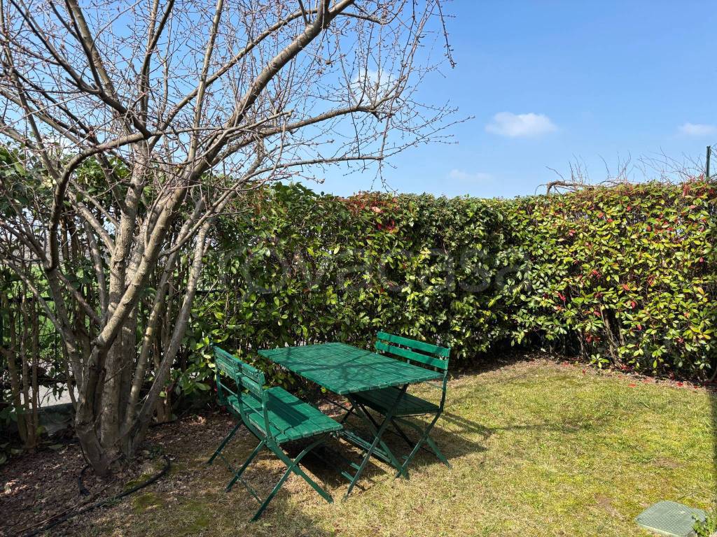 immagine annuncio 2 di 15